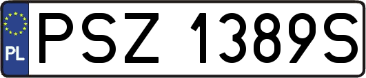 PSZ1389S