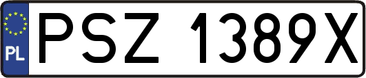 PSZ1389X