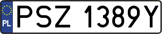 PSZ1389Y