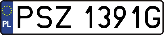 PSZ1391G