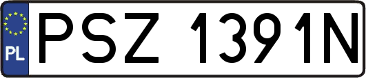 PSZ1391N