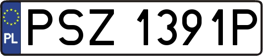 PSZ1391P