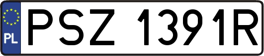 PSZ1391R