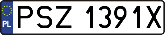 PSZ1391X