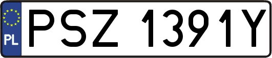 PSZ1391Y