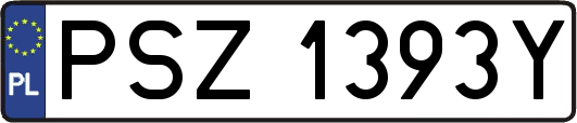 PSZ1393Y