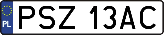 PSZ13AC