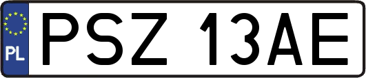 PSZ13AE