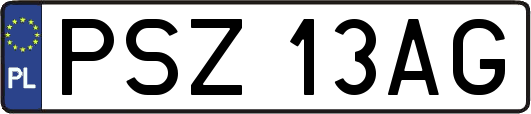 PSZ13AG
