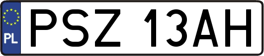 PSZ13AH