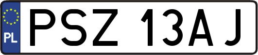 PSZ13AJ