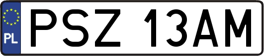 PSZ13AM