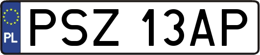 PSZ13AP