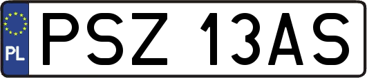 PSZ13AS