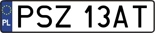 PSZ13AT