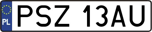 PSZ13AU