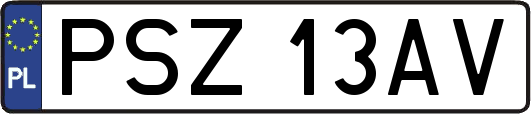 PSZ13AV
