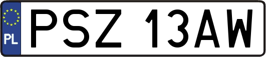PSZ13AW