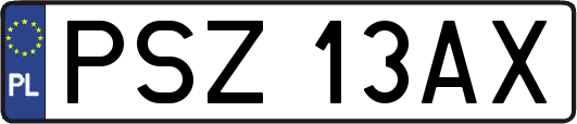 PSZ13AX