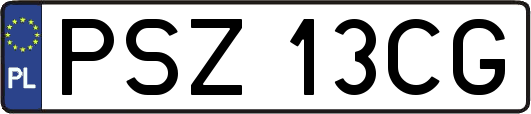PSZ13CG