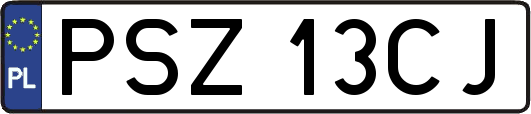 PSZ13CJ