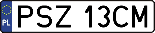 PSZ13CM