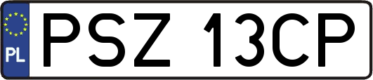 PSZ13CP