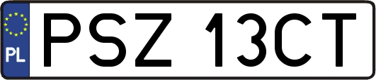 PSZ13CT