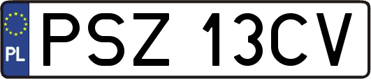 PSZ13CV