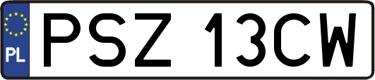 PSZ13CW