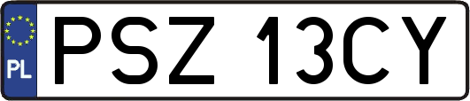 PSZ13CY