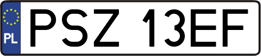 PSZ13EF