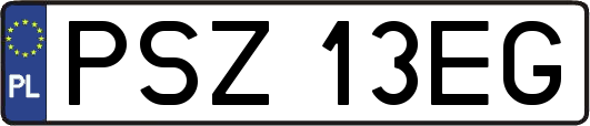 PSZ13EG