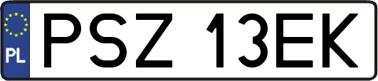 PSZ13EK