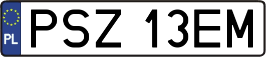 PSZ13EM