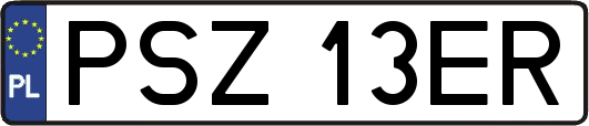 PSZ13ER