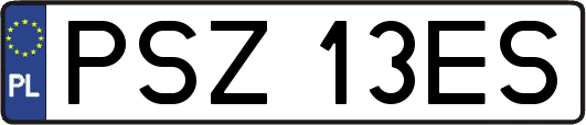 PSZ13ES