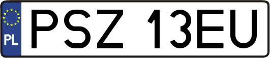 PSZ13EU