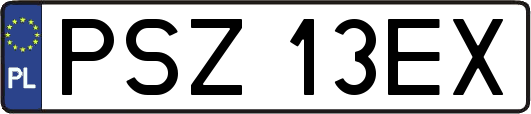 PSZ13EX