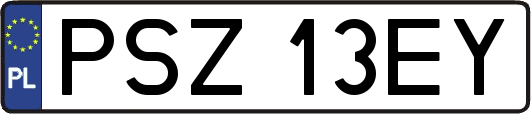 PSZ13EY