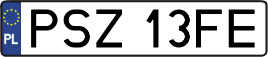 PSZ13FE