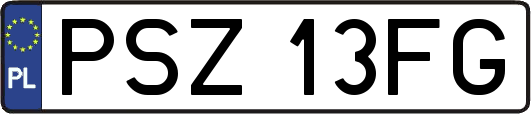 PSZ13FG