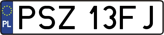 PSZ13FJ