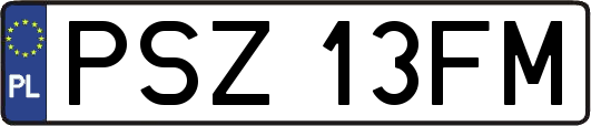 PSZ13FM