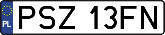 PSZ13FN