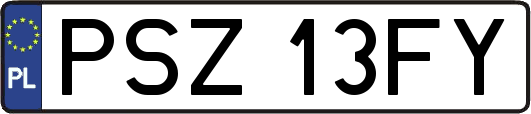 PSZ13FY