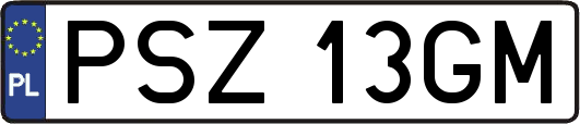 PSZ13GM