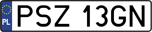 PSZ13GN