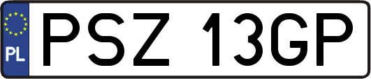 PSZ13GP