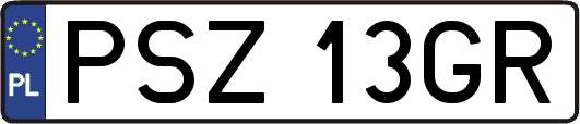 PSZ13GR